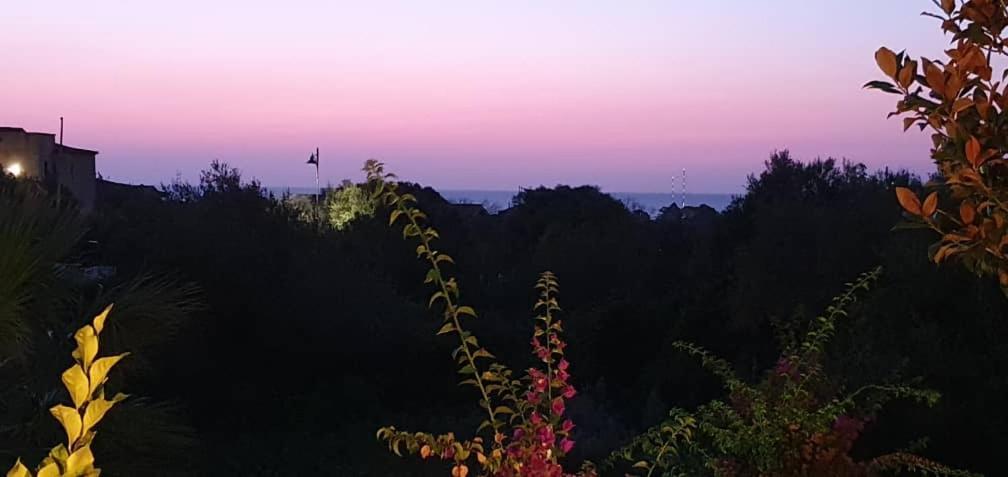 Villa Saba Olbia Buitenkant foto