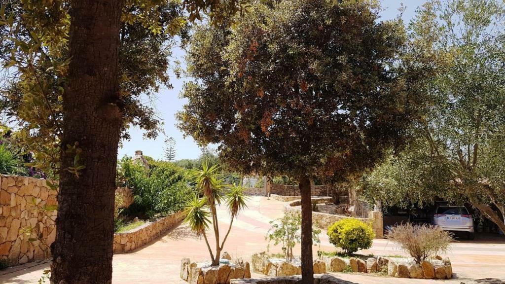 Villa Saba Olbia Buitenkant foto