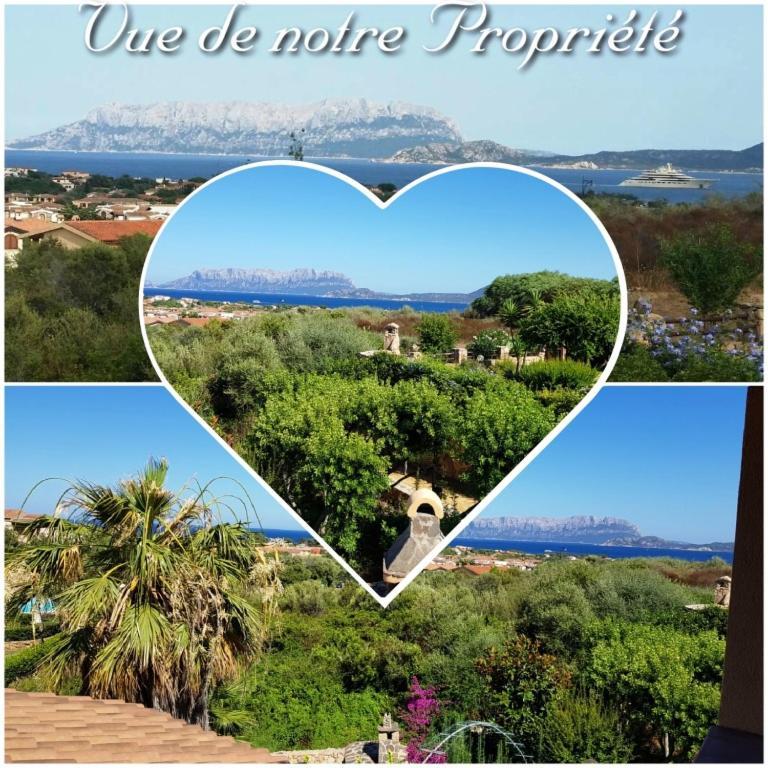 Villa Saba Olbia Buitenkant foto