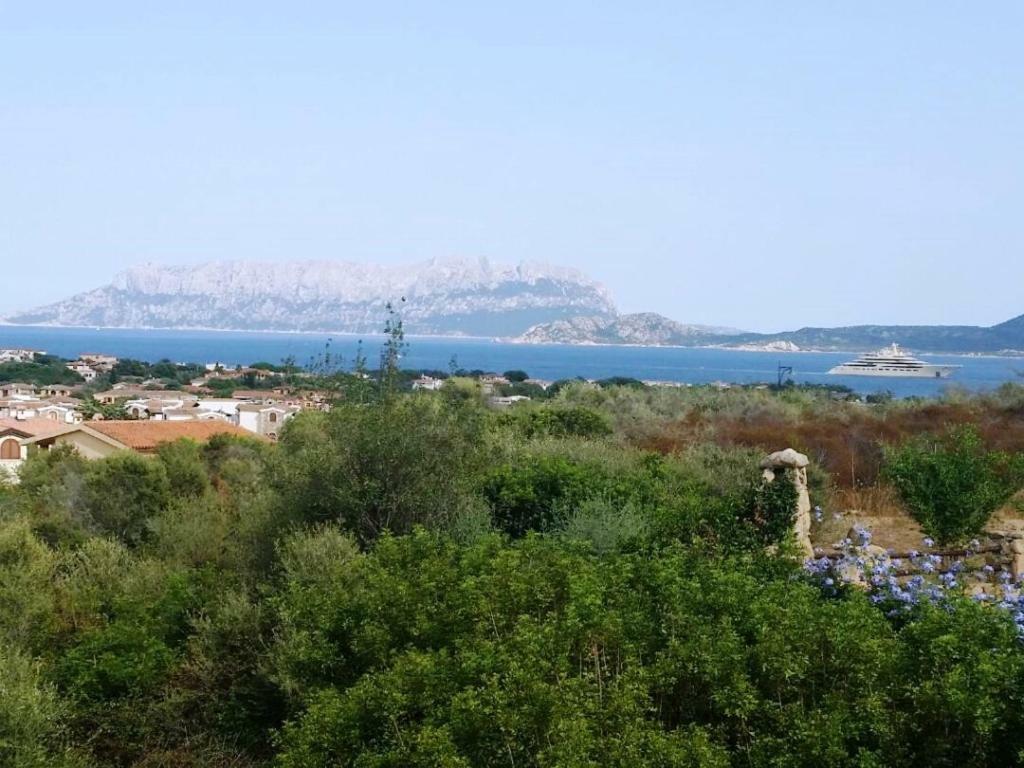 Villa Saba Olbia Buitenkant foto