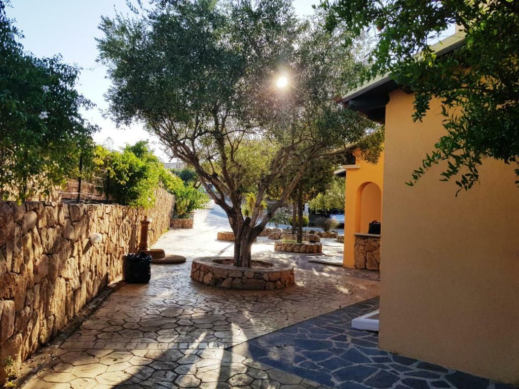 Villa Saba Olbia Buitenkant foto