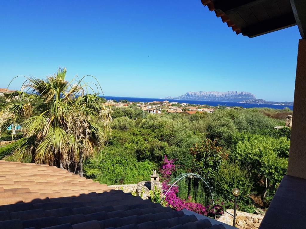 Villa Saba Olbia Buitenkant foto